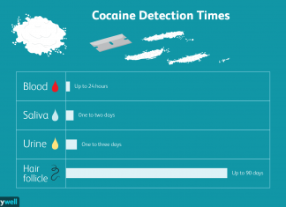 How long does cocaine stay in your system? How long does cocaine stay in your system